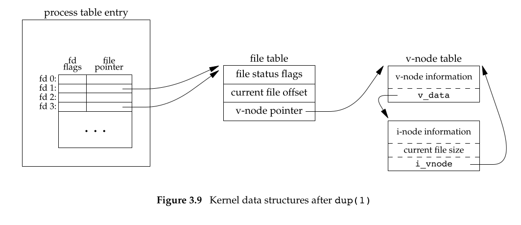 kernel data structure